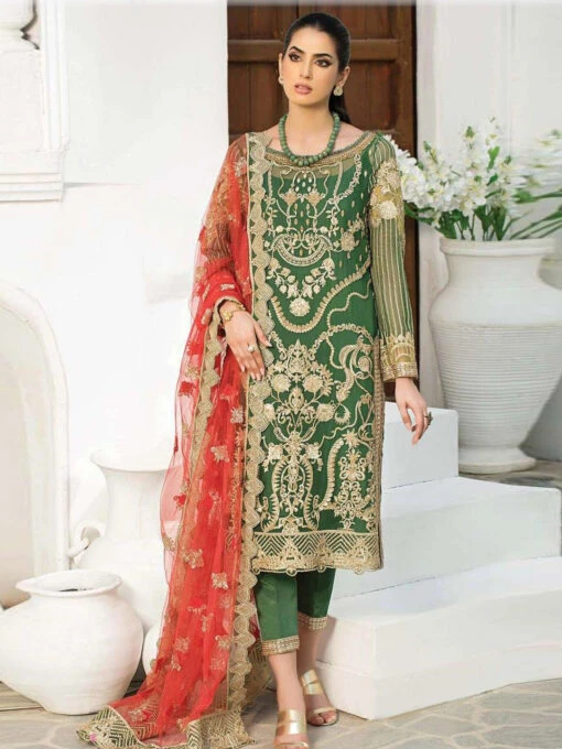 Embroidered Net Laroza