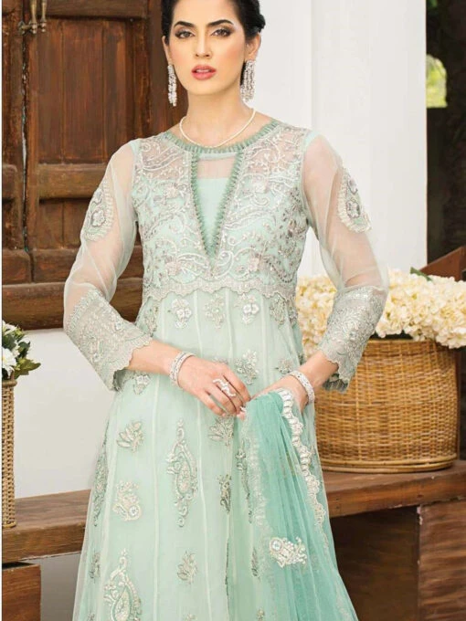 Embroidered Organza Laroza - Image 3