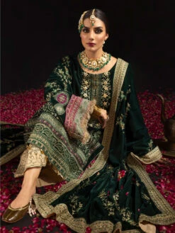Embroidered Exclusive Velvet -Harmony Shop Pakistani Suit C1176C 1