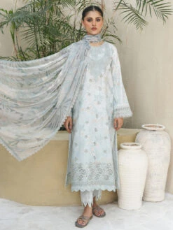 Embroidered Chikankari -Harmony Shop Pakistani Suit C1270G 2