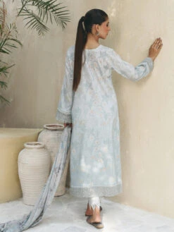 Embroidered Chikankari -Harmony Shop Pakistani Suit C1270G 3