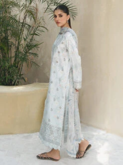 Embroidered Chikankari -Harmony Shop Pakistani Suit C1270G 4