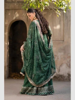 Xenia Luxe Chiffon -Harmony Shop Pakistani Suit C1315K 5 1db9b15f 4382 42cd 82b7 223a211a3117