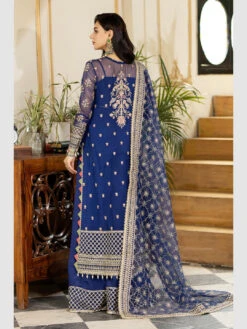 Designer Embroidered Net -Harmony Shop Pakistani Suit C976H 1