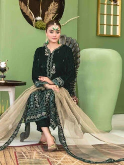 Embroidered Velvet -Harmony Shop Salwar Kameez C1221H 2
