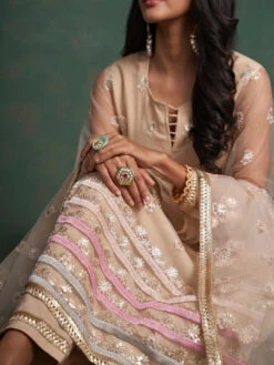 Butterfly Net Embroidery -Harmony Shop Salwar Suit C991C