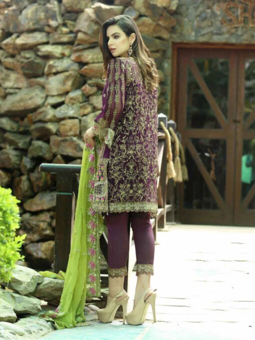 Silk & Chiffon Embroidery - Image 2