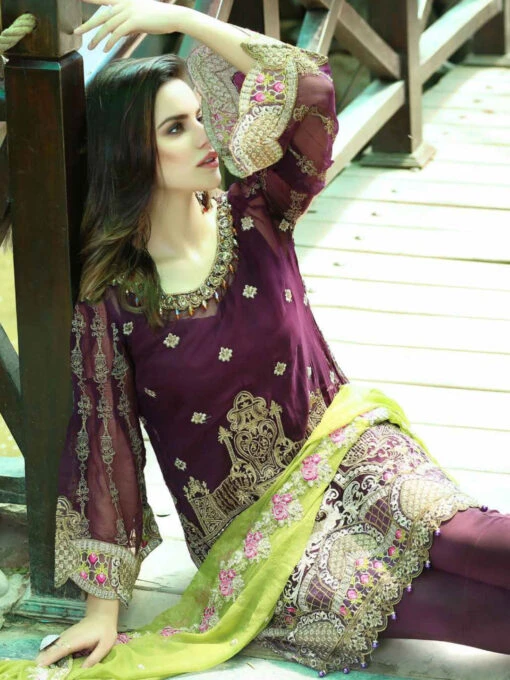 Silk & Chiffon Embroidery - Image 3