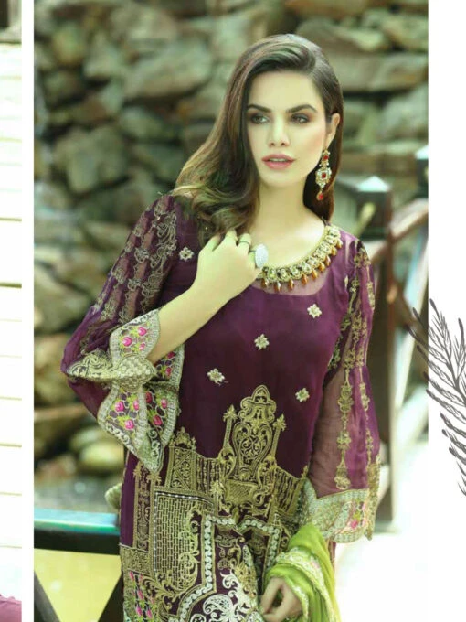 Silk & Chiffon Embroidery - Image 4