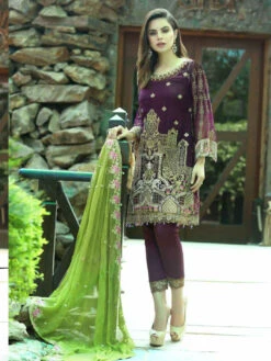 Silk & Chiffon Embroidery