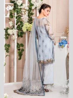 Divine Artist -Harmony Shop Salwar Kameez C152E 3