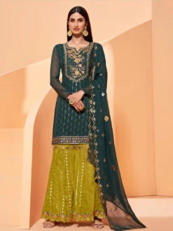 Georgette Embroidery & Sequins
